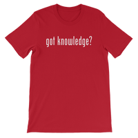 Got Knowledge Tee